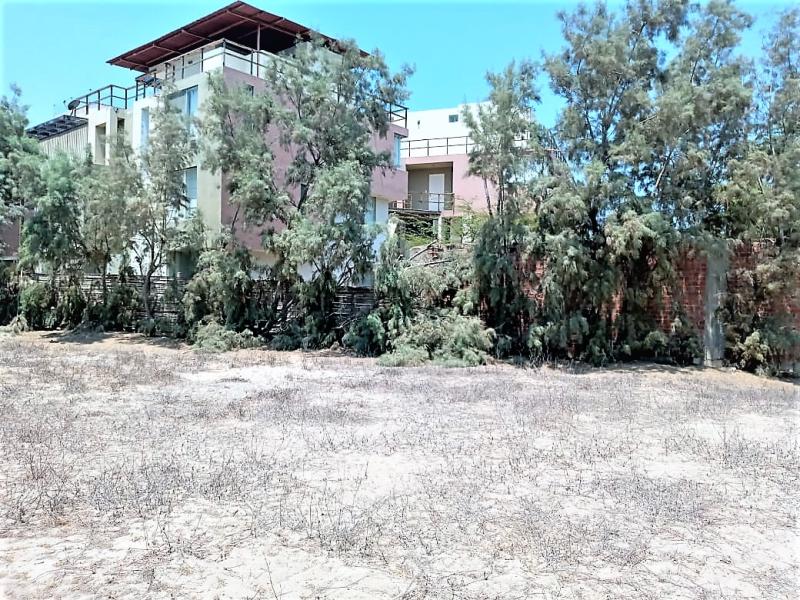 Terreno de Playa en Venta Zorritos Tumbes 1,500 mt. $115,000